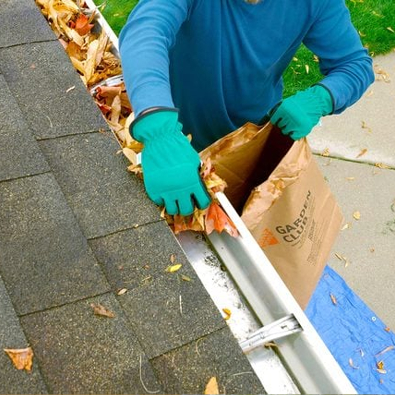 Gutter Cleaning