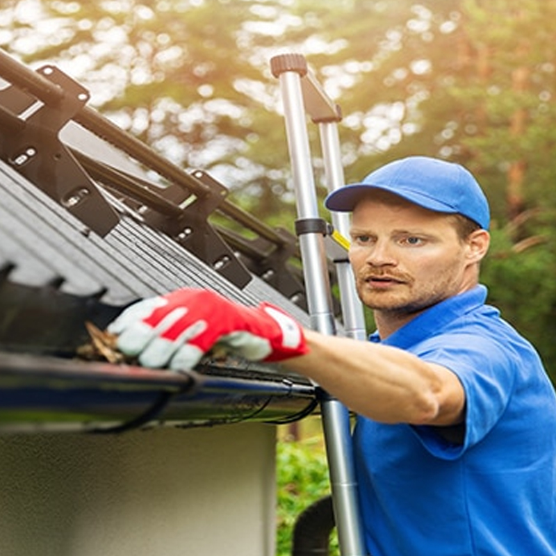 Gutter Cleaning